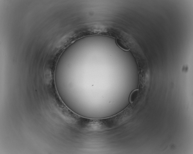 X0000114000704200910021316