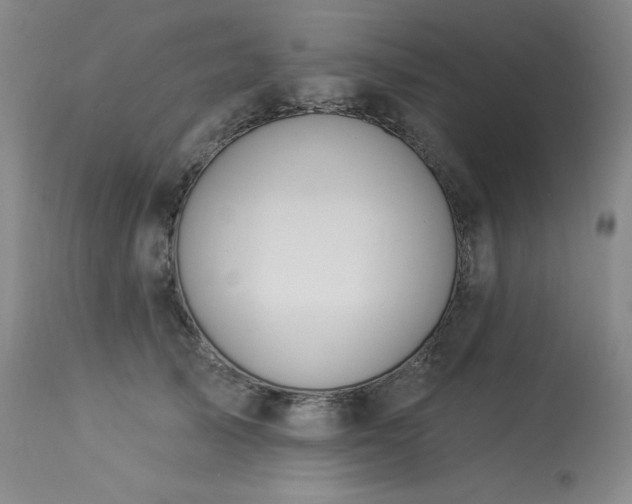 X0000114000705200910021316