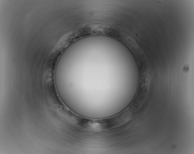 X0000114000706200910021316