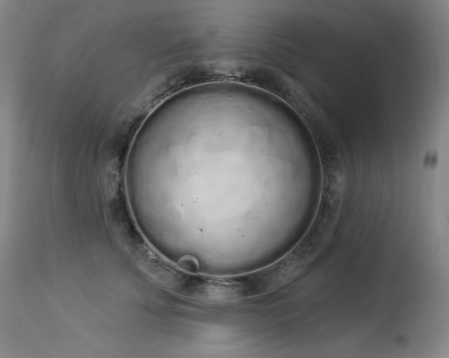 X0000114000707200910021316