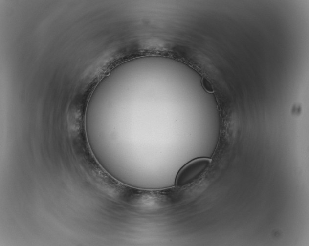 X0000114000708200910021316