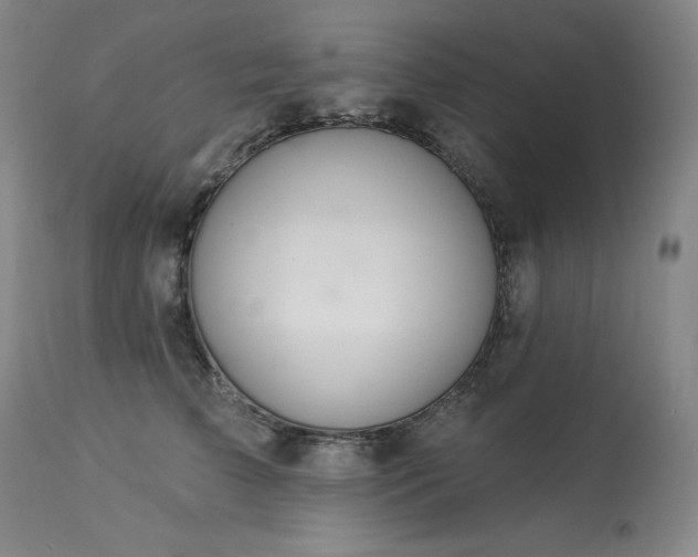 X0000114000709200910021316