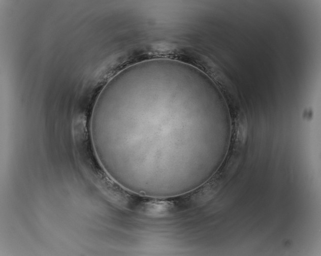 X0000114000711200910021316