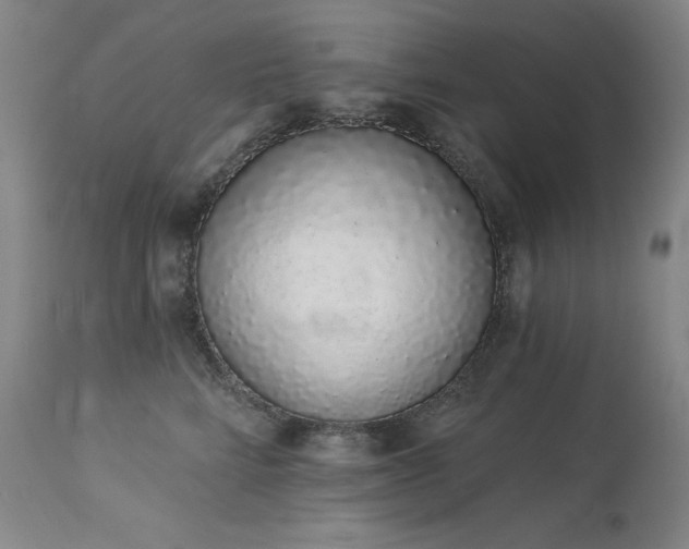 X0000114000712200910021316