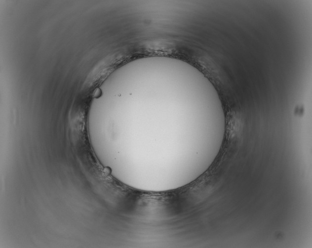 X0000114000713200910021316