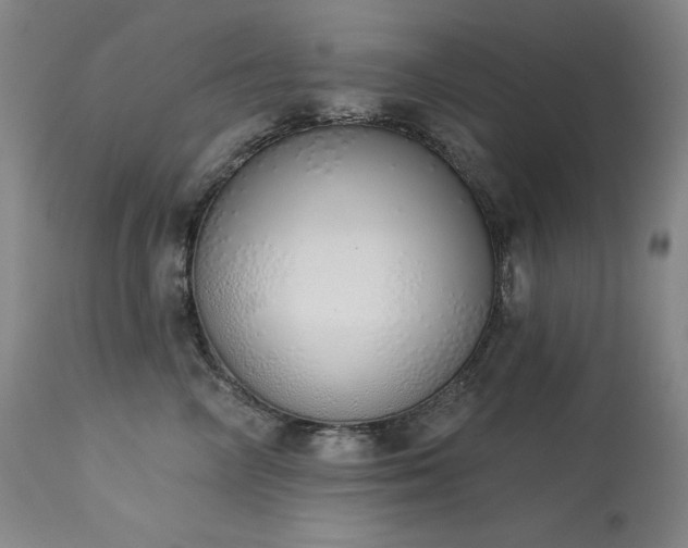 X0000114000714200910021316