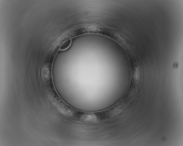 X0000114000715200910021316