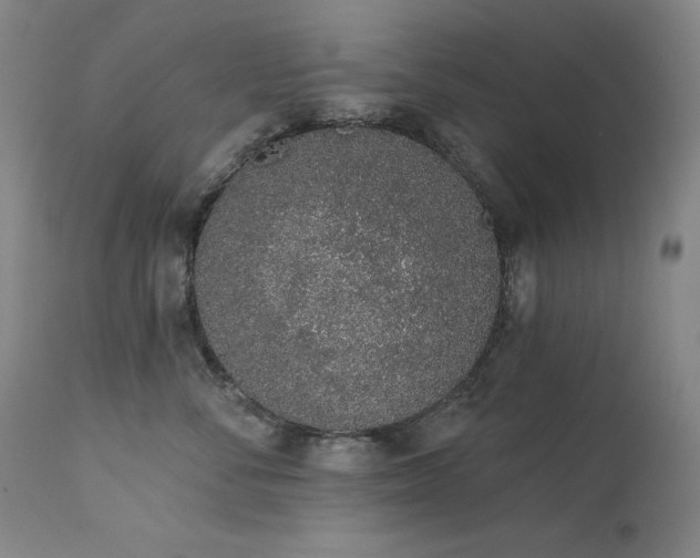 X0000114000716200910021316