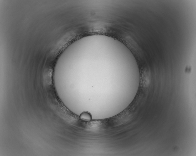 X0000114000717200910021316