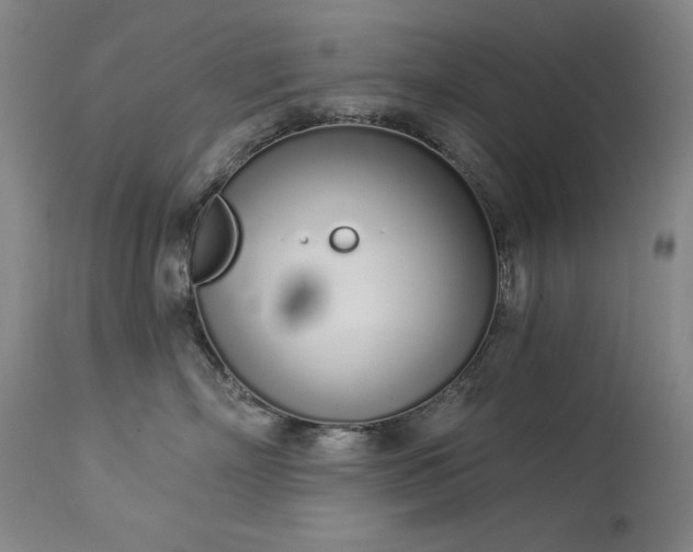 X0000114000718200910021316