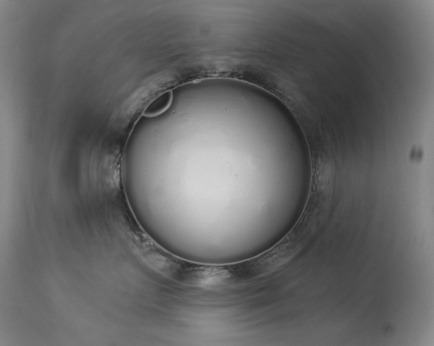 X0000114000719200910021316