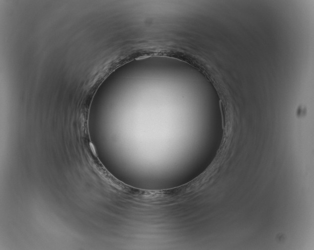 X0000114000720200910021316