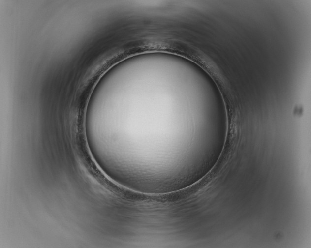 X0000114000722200910021315