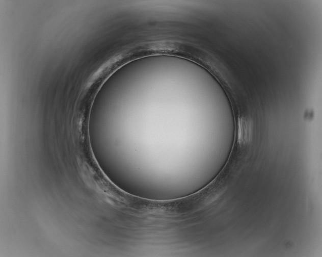 X0000114000723200910021315