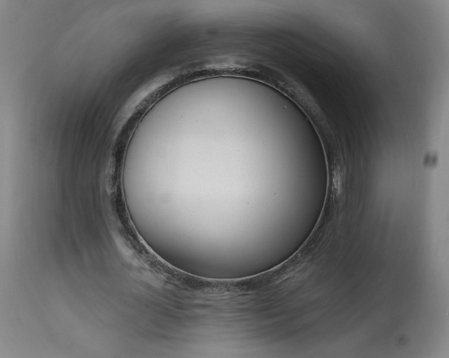 X0000114000724200910021315