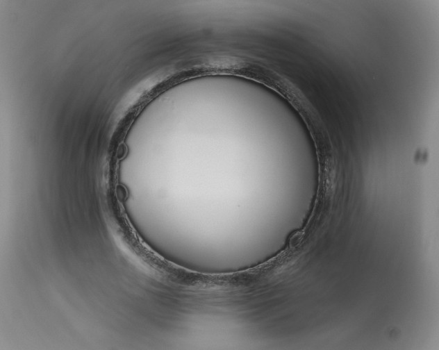 X0000114000726200910021315