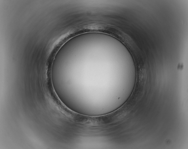 X0000114000727200910021315