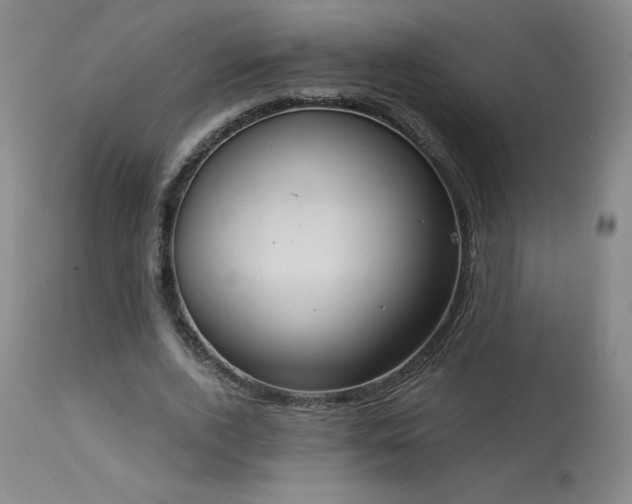 X0000114000728200910021315