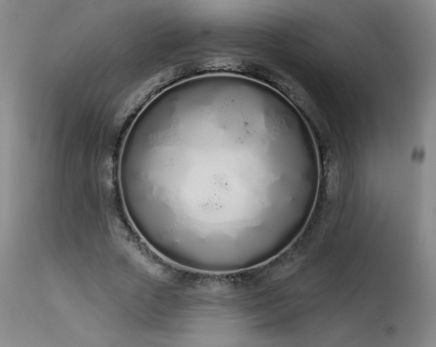X0000114000729200910021315