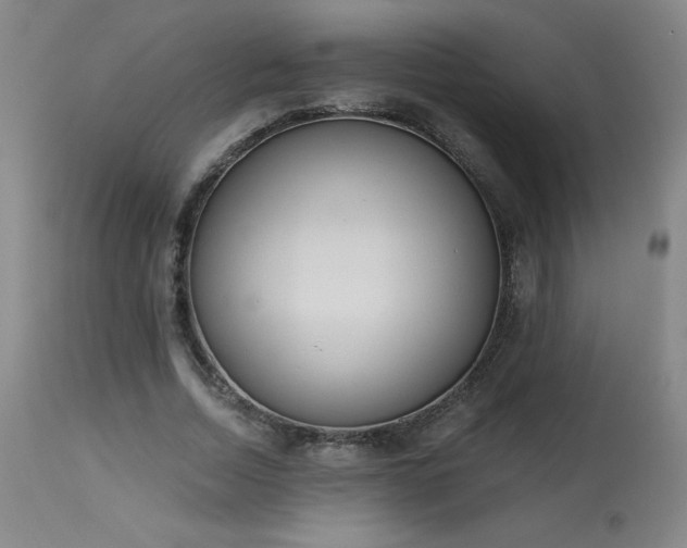 X0000114000730200910021315