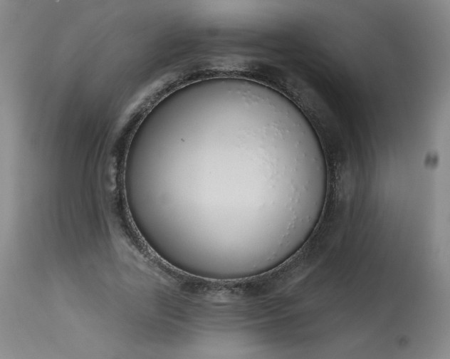 X0000114000731200910021315