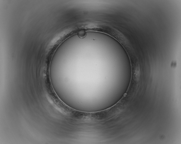 X0000114000732200910021315
