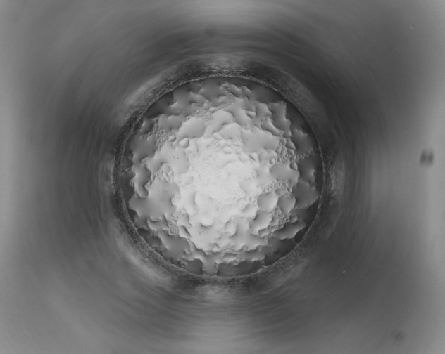 X0000114000733200910021315