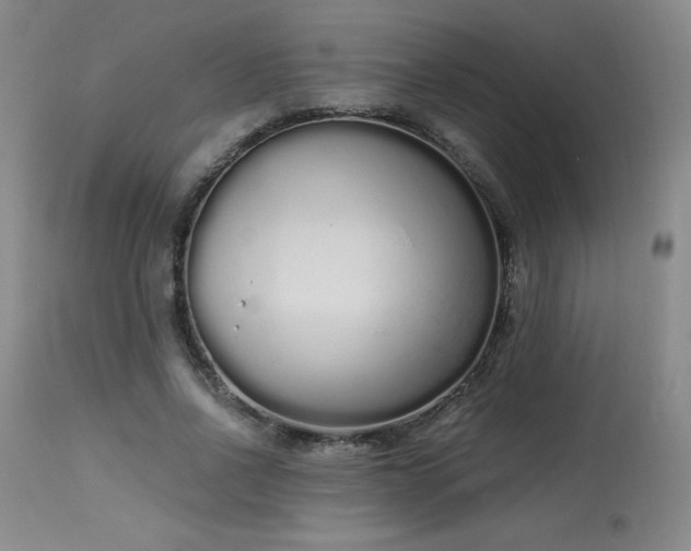 X0000114000734200910021315