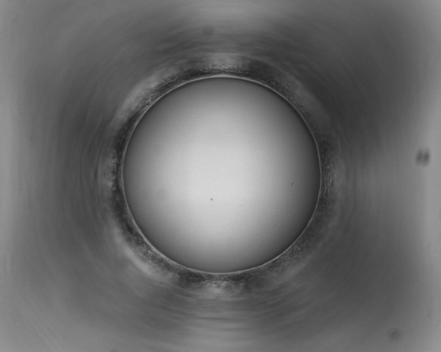 X0000114000736200910021315