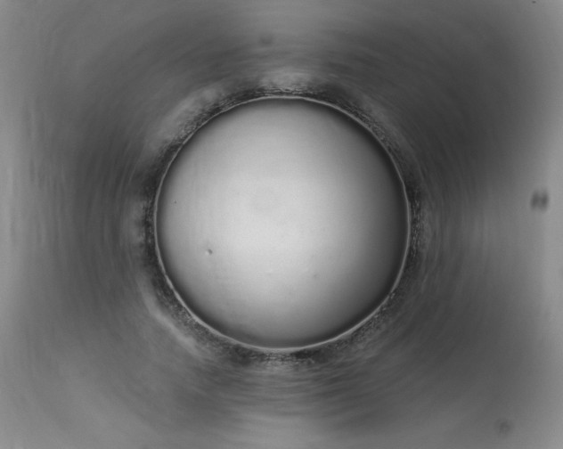 X0000114000738200910021315