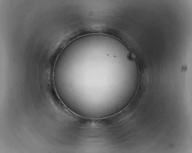 X0000114000739200910021315