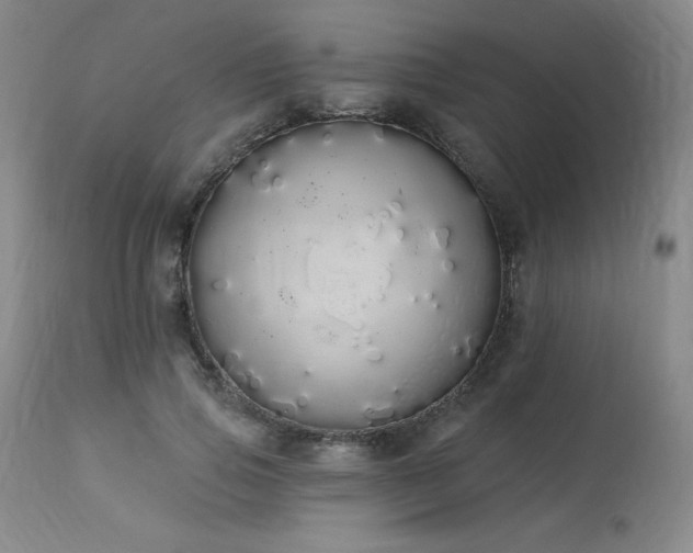 X0000114000741200910021315