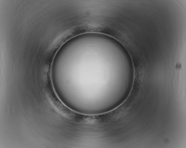 X0000114000742200910021315