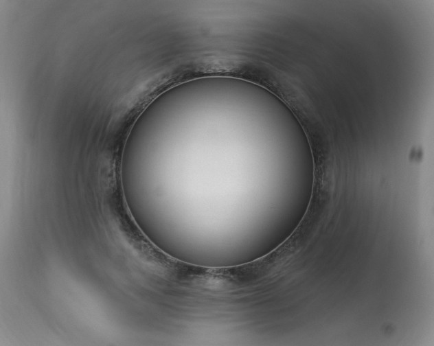 X0000114000743200910021315