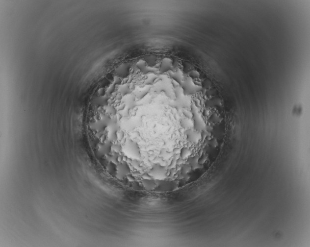 X0000114000745200910021315