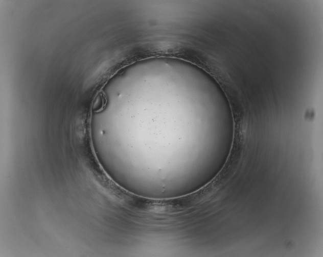 X0000114000746200910021315