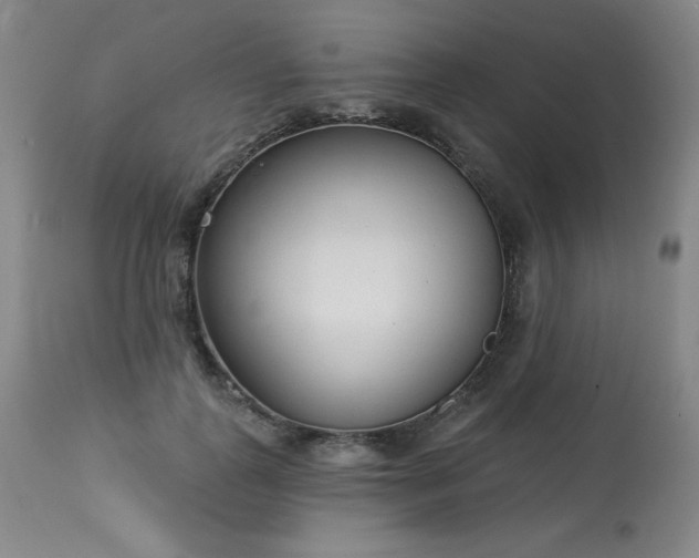 X0000114000747200910021315