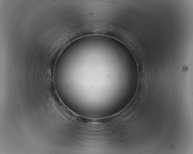X0000114000748200910021315