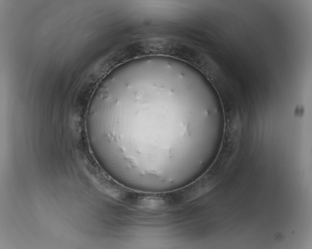 X0000114000749200910021315