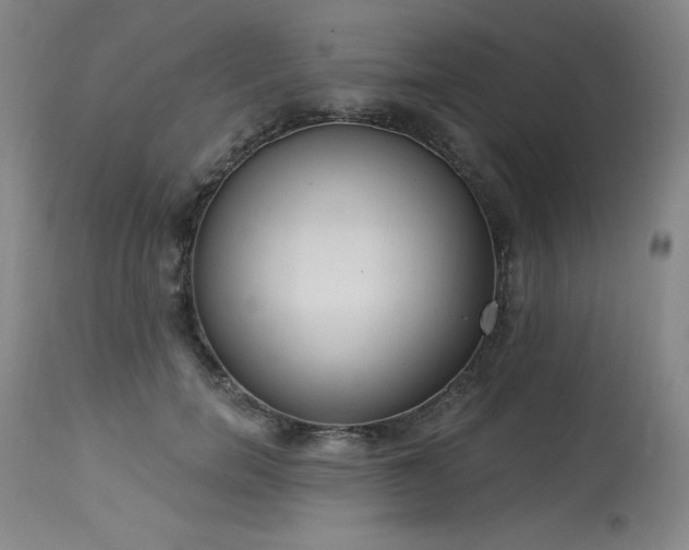 X0000114000750200910021315
