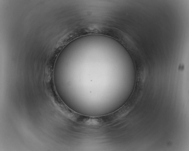 X0000114000751200910021315
