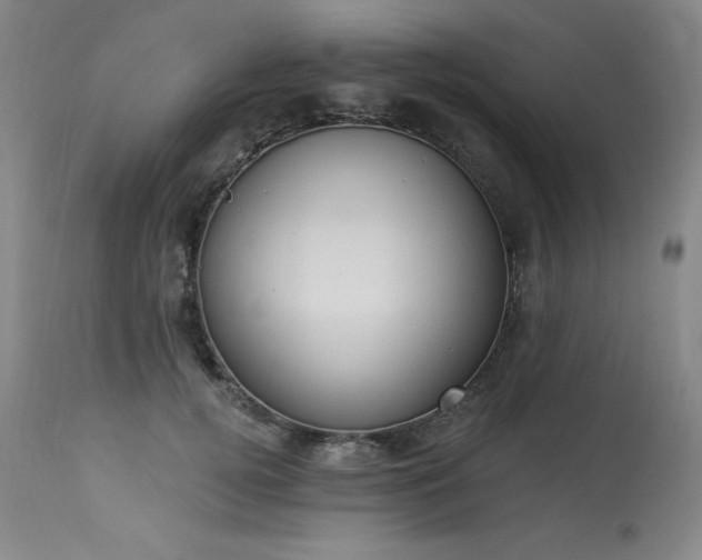 X0000114000752200910021315
