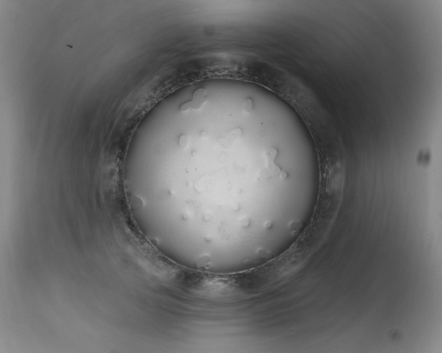 X0000114000753200910021316