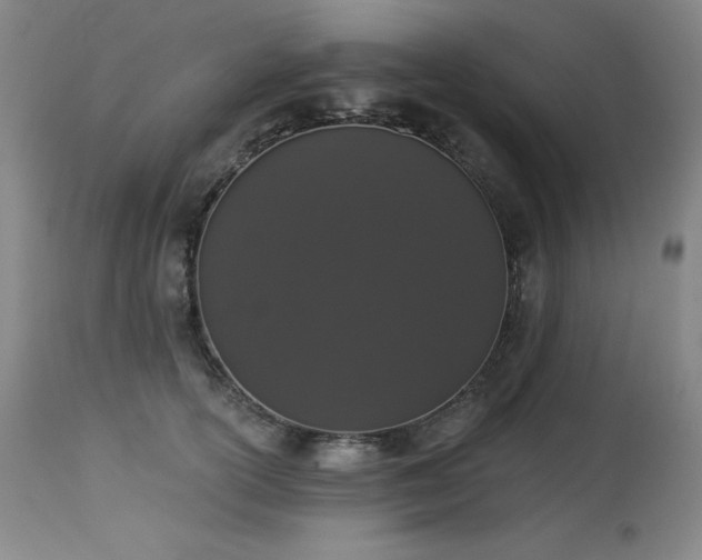 X0000114000754200910021316