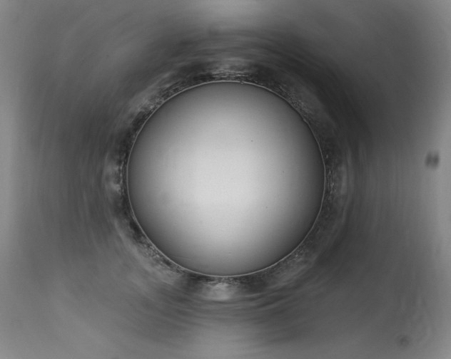 X0000114000755200910021316