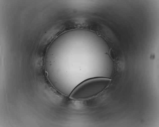 X0000114000756200910021316