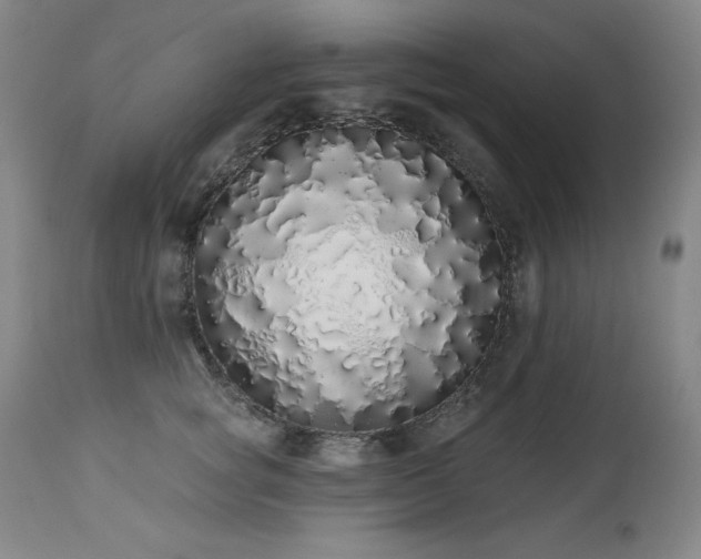 X0000114000757200910021316