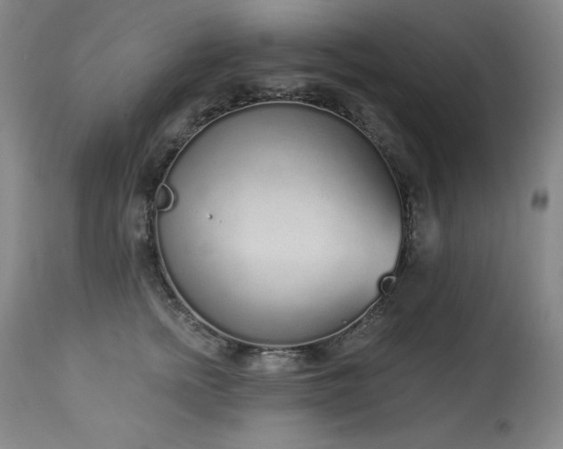X0000114000758200910021316