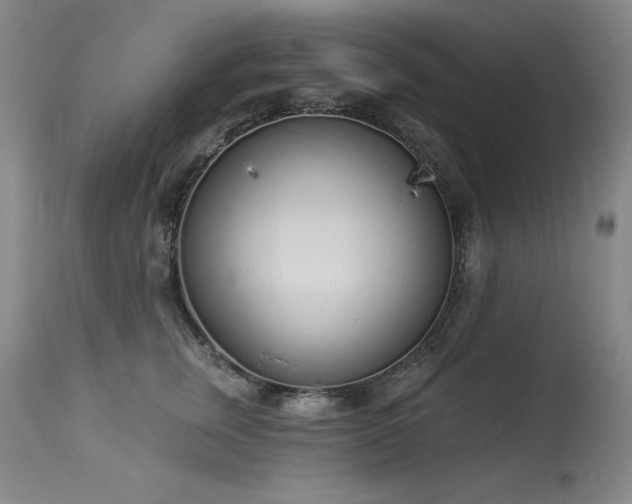 X0000114000759200910021316