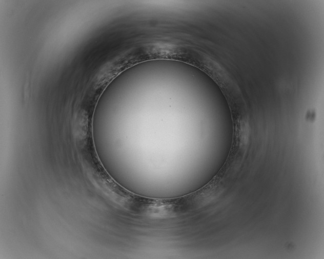 X0000114000760200910021316